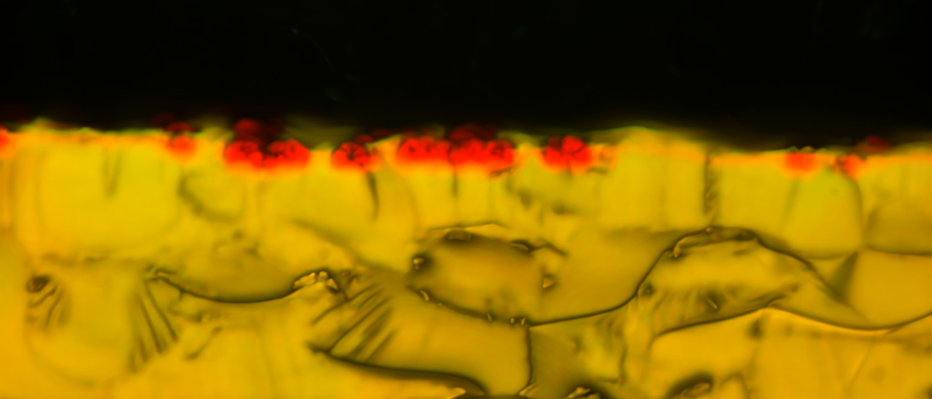 ASD_Confocal